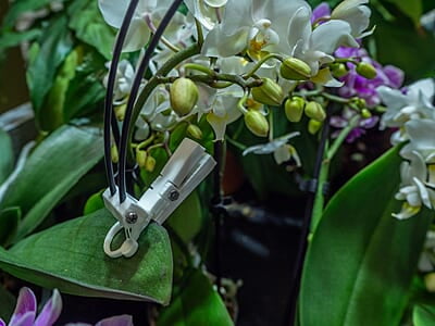 Sendot fotosynthesesensor draadloos